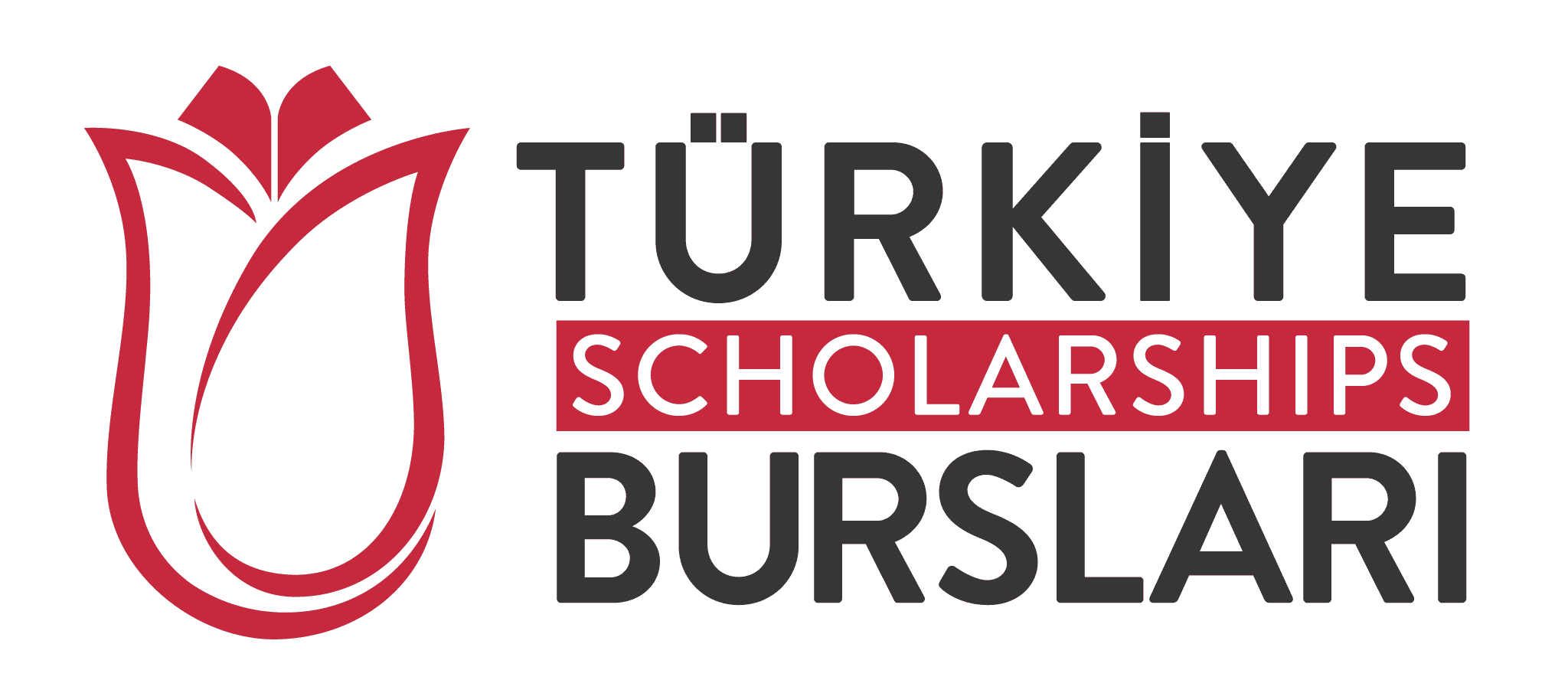 المنحة التركية.. دليلك الكامل حول التخصصات والاوراق المطلوبة للتقديم عليها